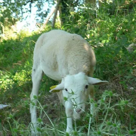 Bed & Breakfast Les D'hotes Du Rouyre
