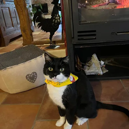 Bed & Breakfast Les D'hotes Du Rouyre Realmont