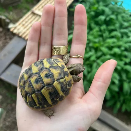 Les D'hotes Du Rouyre