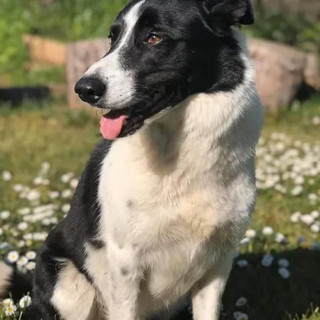 Frühstückspension Les D'hotes Du Rouyre