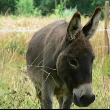 Frühstückspension Les D'hotes Du Rouyre 3*
